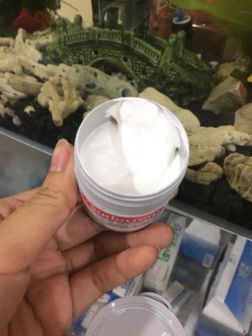  Kem chống hăm cho bé Sudo Uk Sudocrem 60gr 