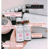  Nước Collagen Rose Beauty tinh chất yến và hoa anh thảo (Hộp 8chai x 50ml) 