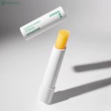  Son Dưỡng Môi Innisfree Canola Honey Lip Balm 3,5Gr ( Mới) 