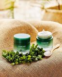  [HCM]Laneige - Mặt Nạ Ngủ Dưỡng Ẩm và Phục Hồi Da Cica Sleeping Mask 60ml 