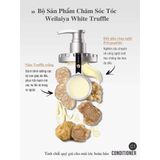  Bộ dầu gội phục hồi đa tầng Nấm Truffle Weilaiya 450ml Chính Hãng 