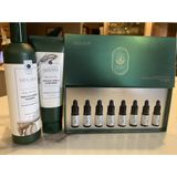  Serum mọc tóc và làm dày tóc Weilaiya Ginger Hair Root Nourishing Essence 