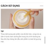  [Minisize 5ml] Kem dưỡng săn chắc da Sulwhasoo Essential Firming Cream Ex 