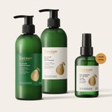  Dầu Gội Bưởi Cocoon Giảm Rụng & Kích Thích Mọc Tóc 310ml 