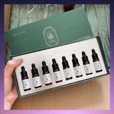  Serum mọc tóc và làm dày tóc Weilaiya Ginger Hair Root Nourishing Essence 