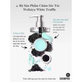  Bộ dầu gội phục hồi đa tầng Nấm Truffle Weilaiya 450ml Chính Hãng 