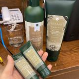  Set Dầu Gội Weilaiya Gừng Trắng Hà Thủ Ô 20ml 