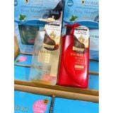  Bộ Gội Xả Tsubaki Sạch Dầu Mát Lạnh, Tóc Bóng Mượt Bồng Bềnh (490ml/chai) (Có Hộp) 