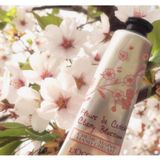  Kem Dưỡng Da Tay Hoa Anh Đào L'occitane Cherry Blossom Hand Cream 150ml 