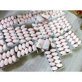  [Mini 12ml] Kem Chống Nắng Anessa Da Nhạy Cảm Perfect UV Sunscreen Mild Milk 