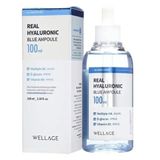  [Date 9/26] Serum Wellage Real Hyaluronic Blue Ampoule 100 75ml 