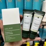  Set Dầu Gội Weilaiya Gừng Trắng Hà Thủ Ô 20ml 