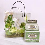  Kem dưỡng thể L'OCCITANE Amande Milk Concentrate 