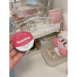  Son Dưỡng Môi Cao Cấp Vaseline Petroleum Jelly Rosy Lips 20g 