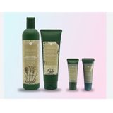  Cặp Dầu Gội Xả Hà Thủ Ô Kích Mọc Tóc Weilaiya Zingiber Officinale Juice 400ml 