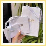  Túi Giấy YSL Đen Cao Cấp 20x16 