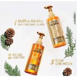  Bộ Gội Xả L'Oreal Paris Extraordinary Oil Dưỡng Tóc Suôn Mượt Tóc Cao Cấp x 440ml 