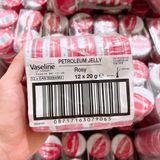  Son Dưỡng Môi Cao Cấp Vaseline Petroleum Jelly Rosy Lips 20g 
