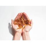  Tinh Chất Vichy Giảm Thâm Nám Làm Sáng Da Ban Đêm Glyco C 2ml 10 Ống 