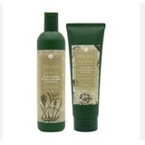  Cặp Dầu Gội Xả Hà Thủ Ô Kích Mọc Tóc Weilaiya Zingiber Officinale Juice 400ml 