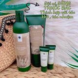  Bộ Dầu Gội Dầu Xả Weilaiya Tinh Chất Gừng Hỗ Trợ Móc Tóc Và Mọc Tóc Cao Cấp- Hàng Chính Hãng 