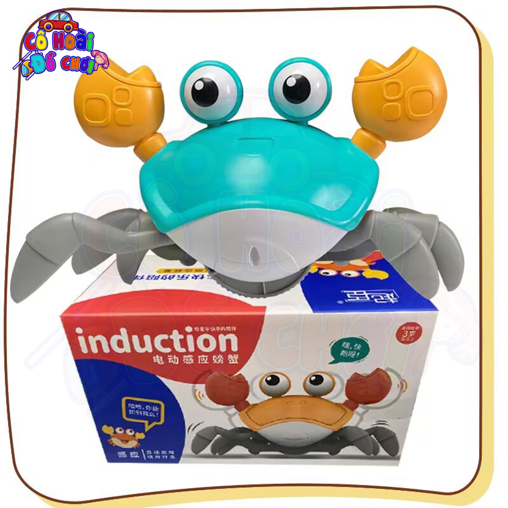 Cangrejo Musical Estimulación: ¡El compañero de juegos perfecto para tu bebé! - cangrejo musical estimulación