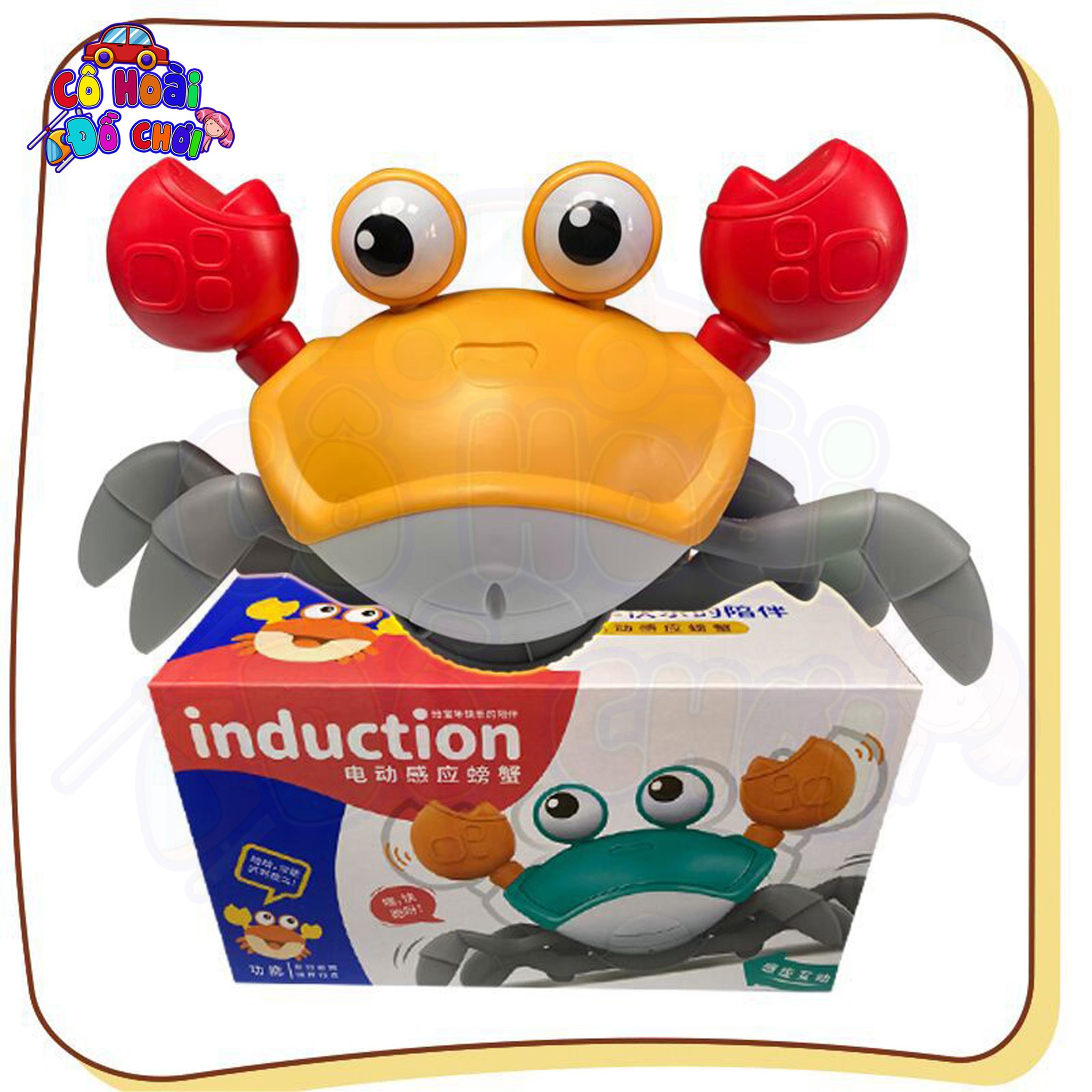Cangrejo Musical Estimulación: ¡El compañero de juegos perfecto para tu bebé! - cangrejo musical estimulación