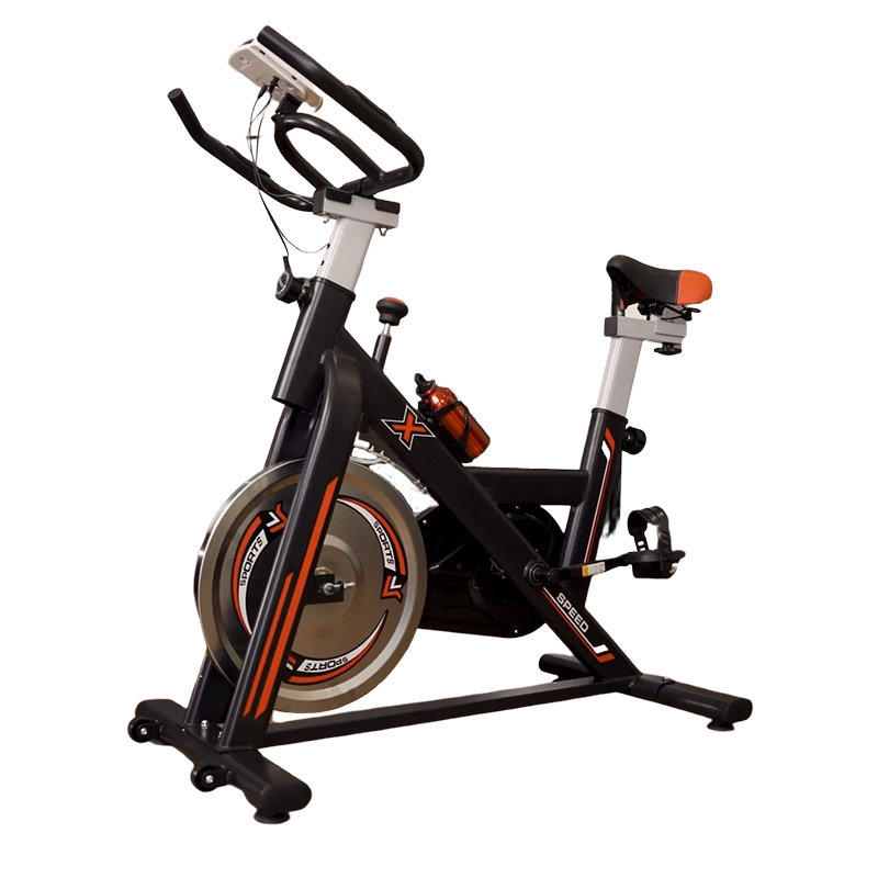 Xe Đạp Thể Dục Tại Nhà SJ 201