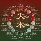  Vòng Tay Phong Thuỷ Dành Cho Mạng Hỏa Và Mộc 