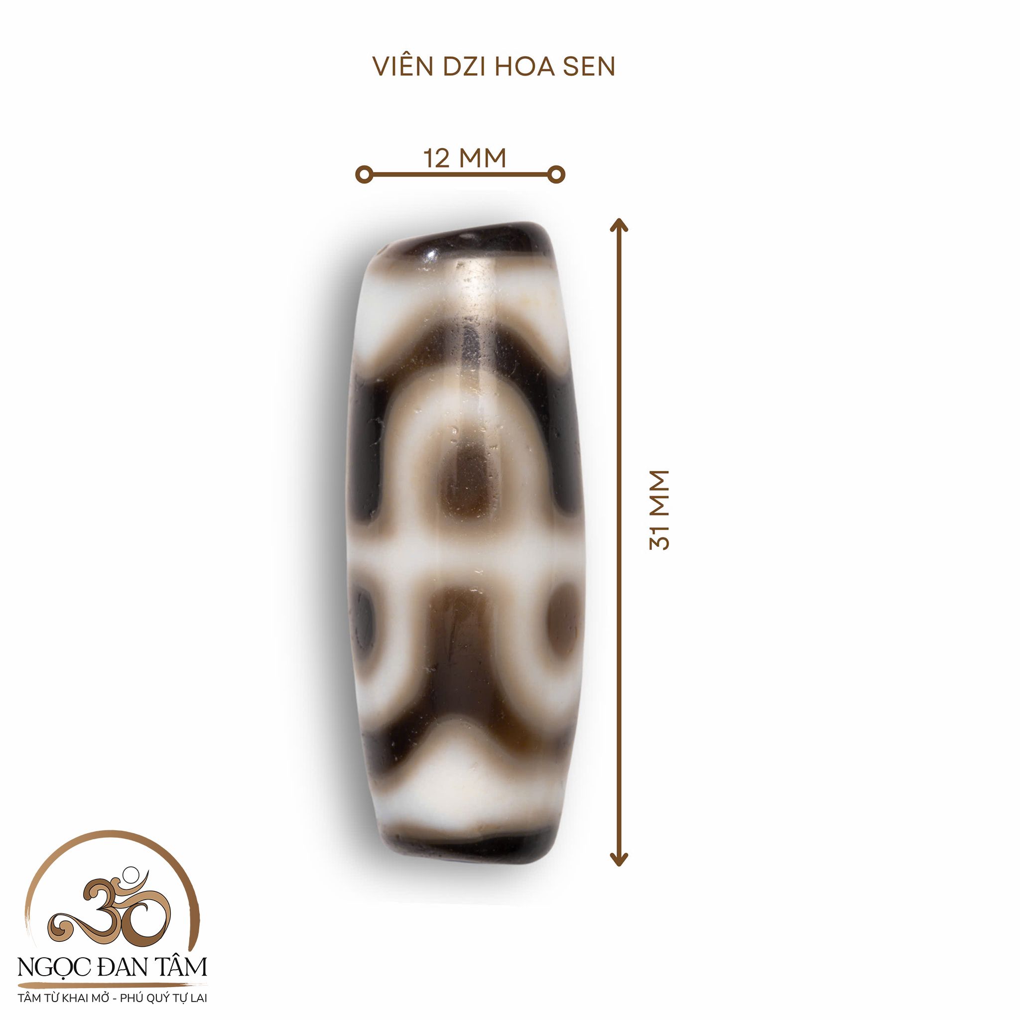  Dzi Hoa Sen 31x12mm 