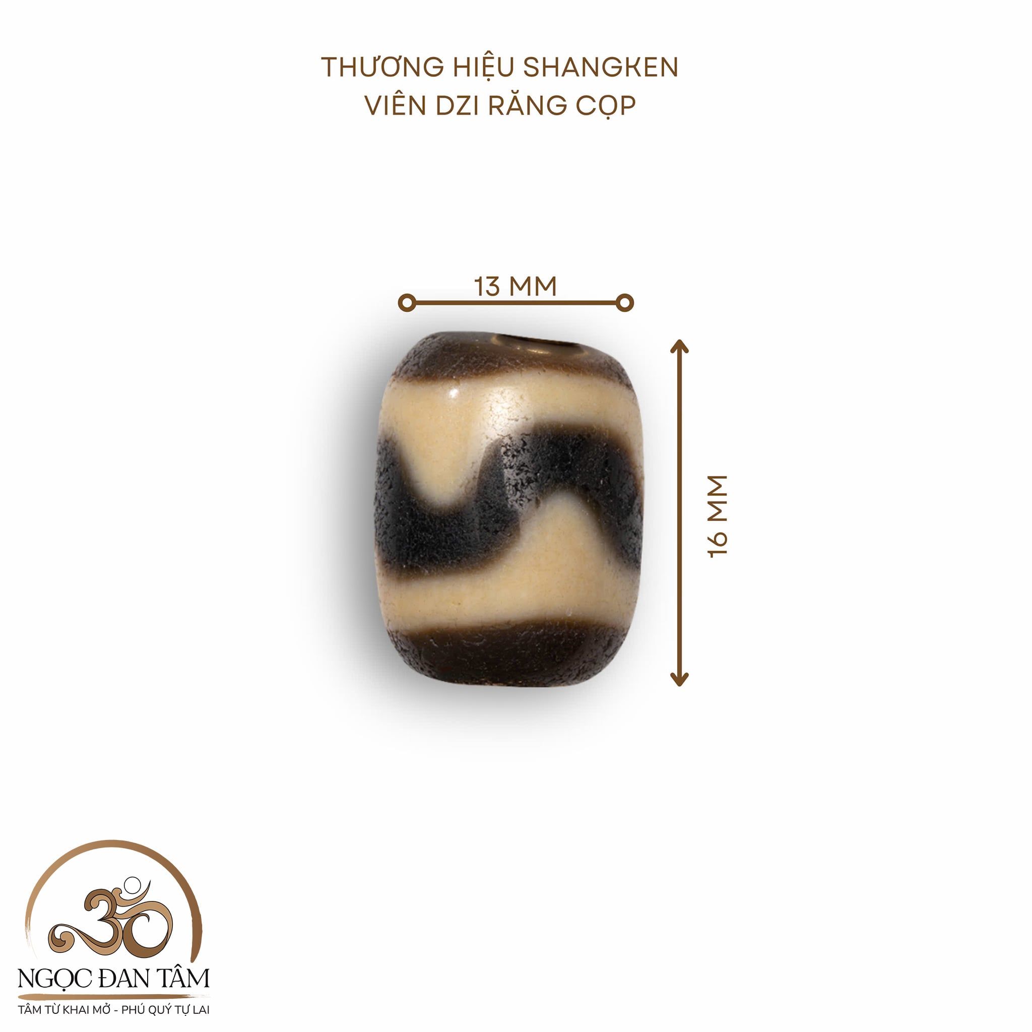  Dzi Răng Cọp 16x13mm 