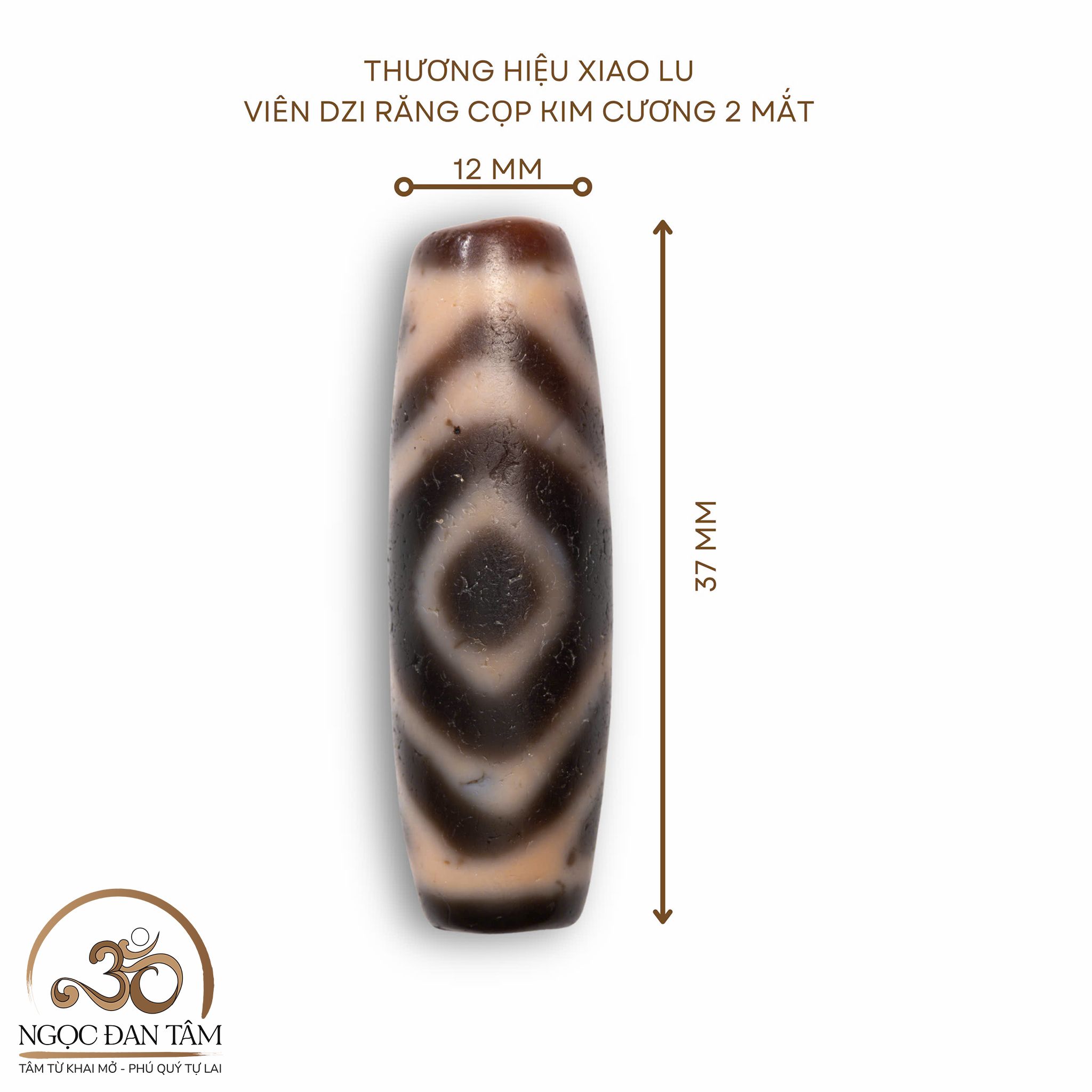  Dzi Răng Cọp Kim Cương 2 Mắt 37x12mm ( New Dzi - Xiao Lu ) 