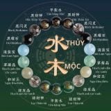  Vòng Tay Phong Thuỷ Dành Cho Mạng Thuỷ Và Mộc 