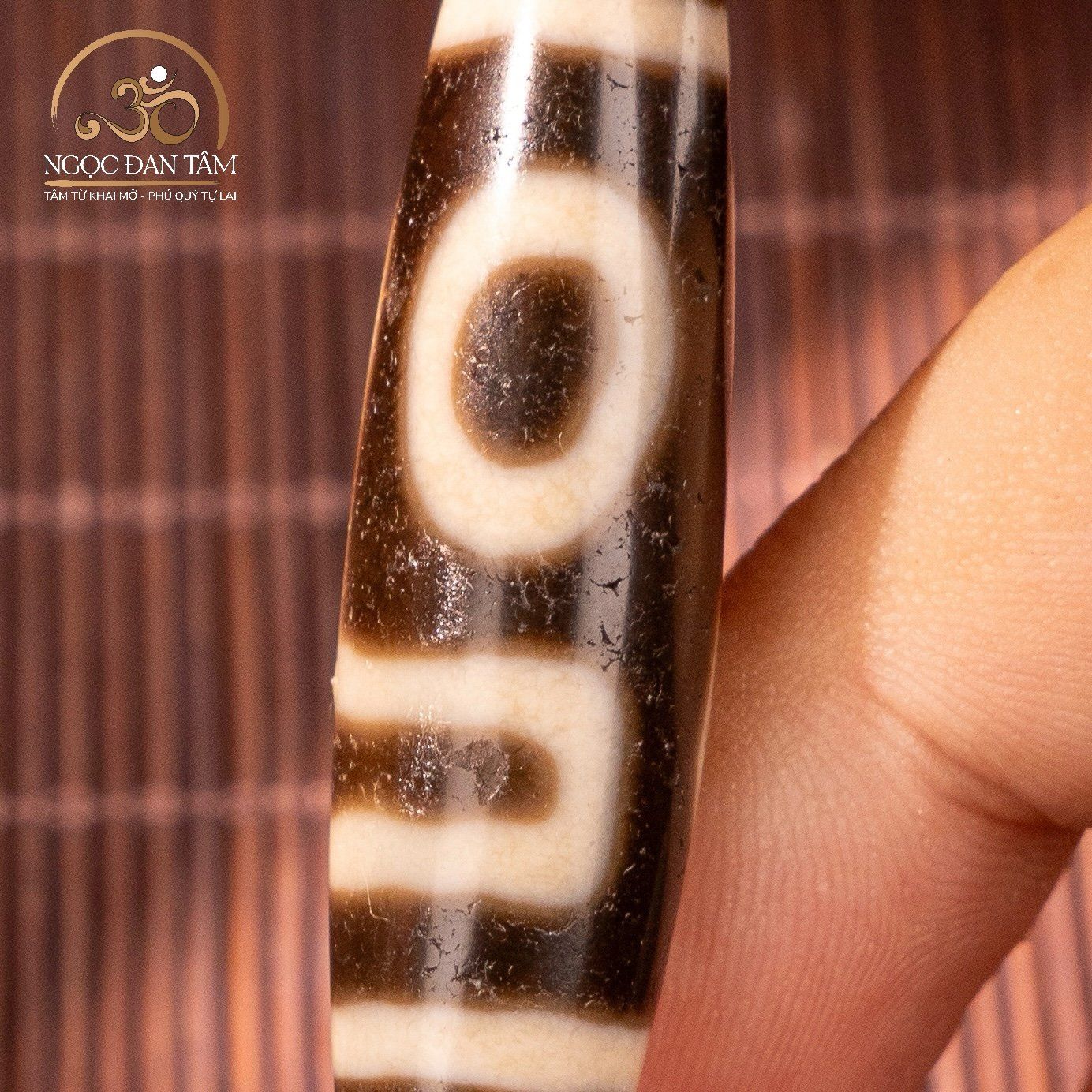  Dzi 2 mắt 44x12mm 