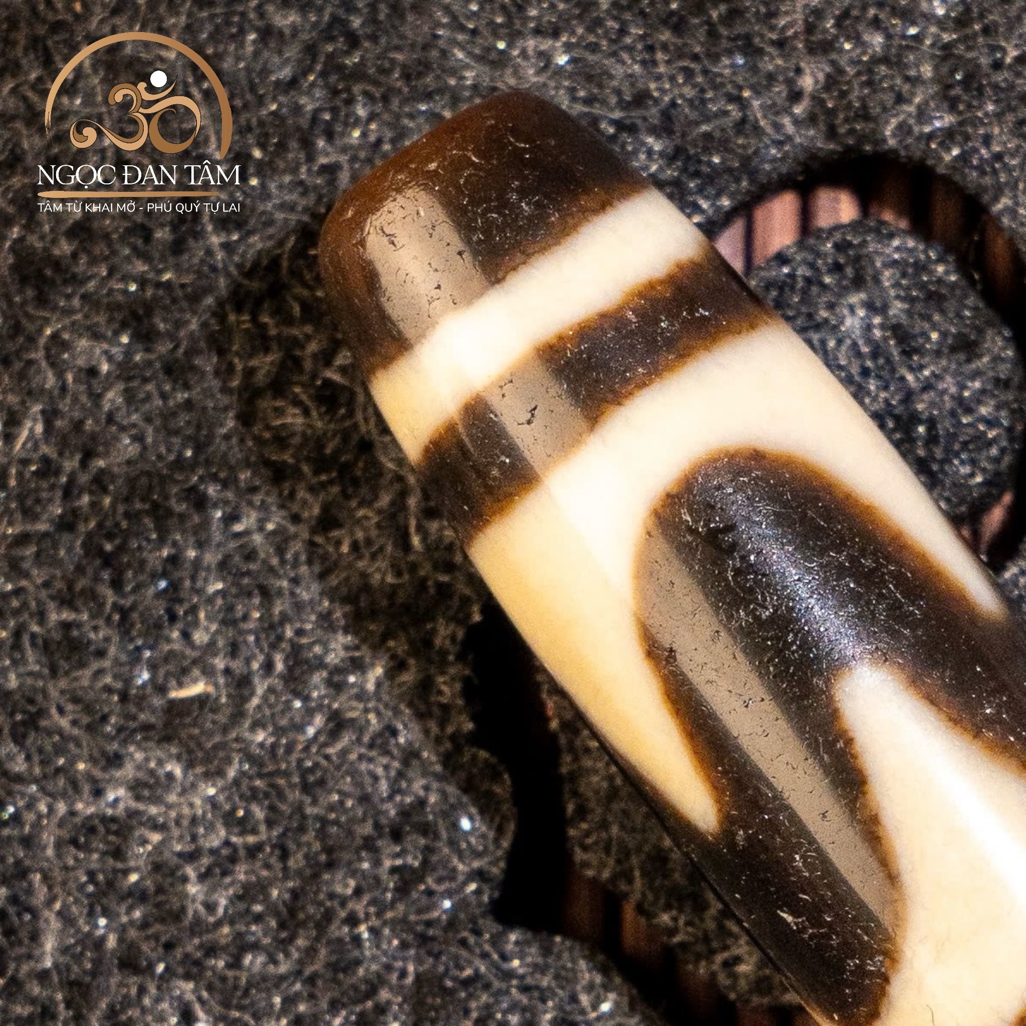  Dzi răng cọp 1 vòng 36x11mm 