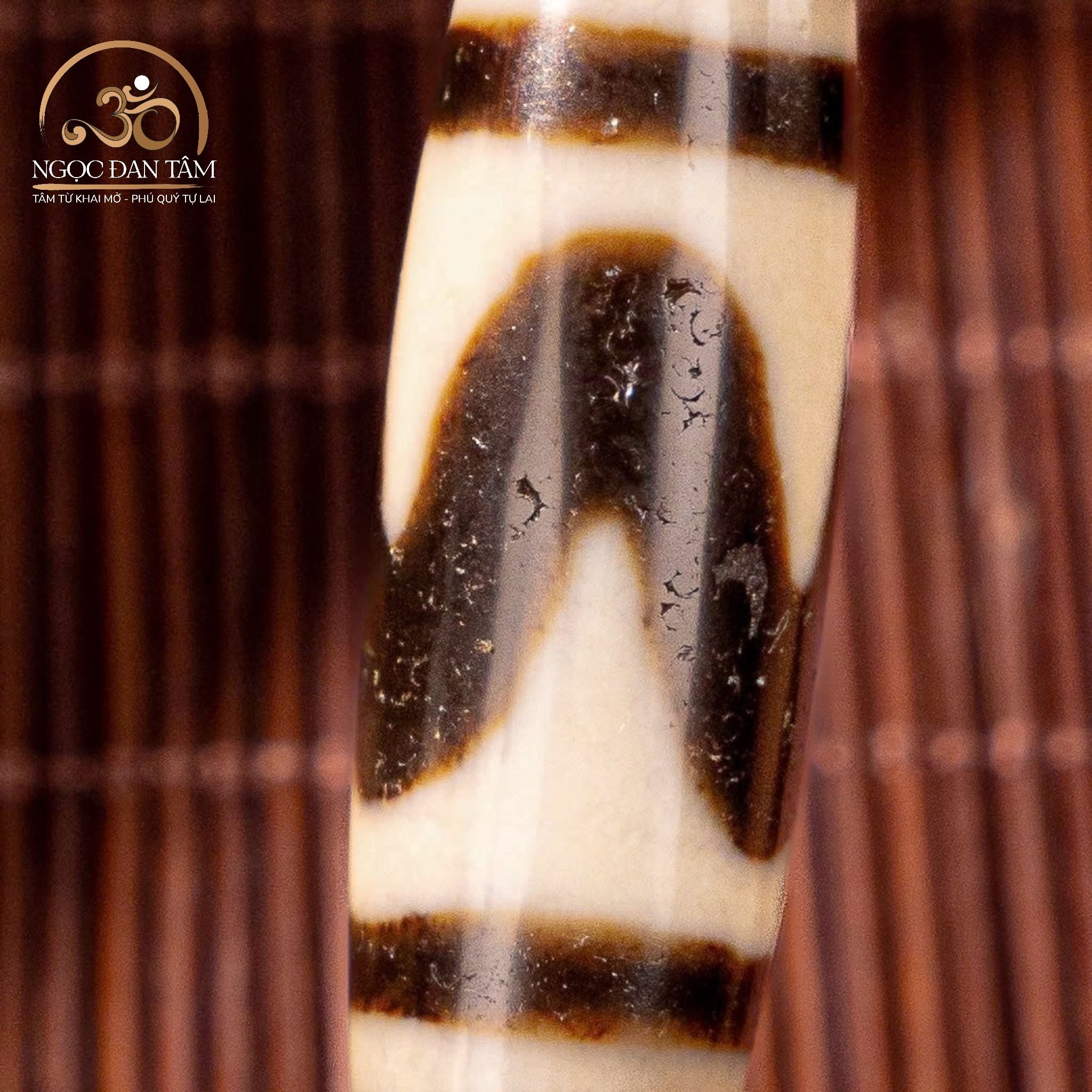  Dzi răng cọp 1 vòng 36x11mm 