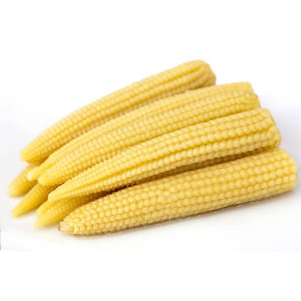  Bắp non 
