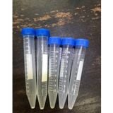 Ống fancol, Falcon 10ml ( túi 100cái)