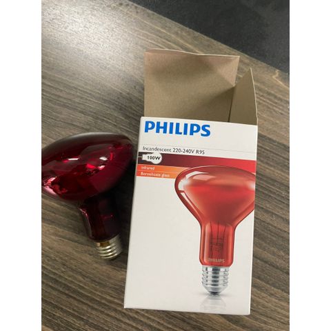 BÓNG ĐÈN HỒNG NGOẠI PHILIPS 100W