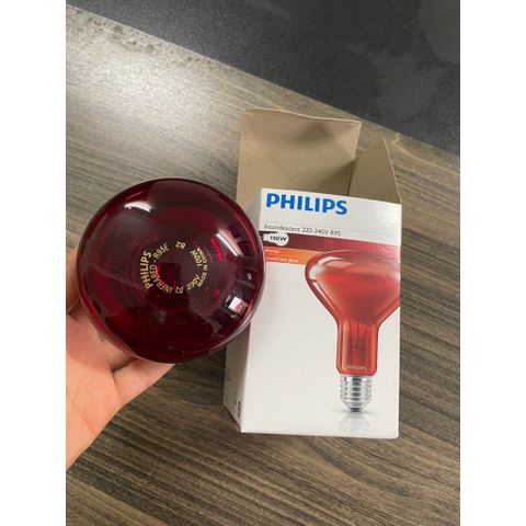 BÓNG ĐÈN HỒNG NGOẠI PHILIPS 100W