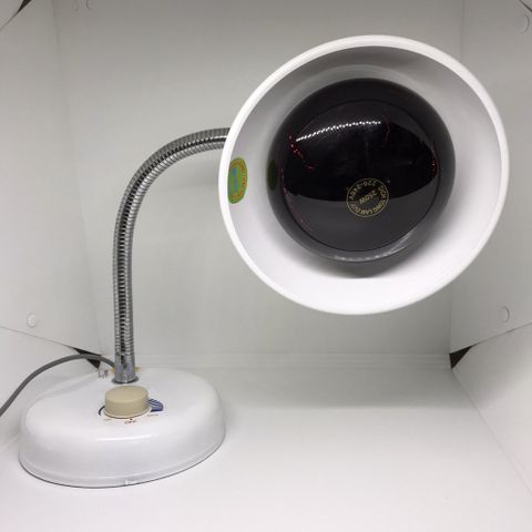 Đèn Hồng Ngoại TNE MEDILAMP/ Có Triết Áp Kèm Bóng 250w