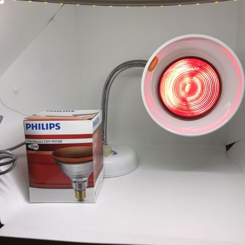 BÓNG HỒNG NGOẠI PHILIPS 150W 100W