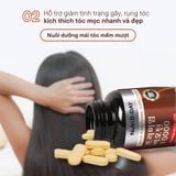 Viên Uống Biotin Mọc Tóc, Viên Uống Collagen Biotin Giúp Tóc Chắc Khoẻ Hộp 90 Viên
