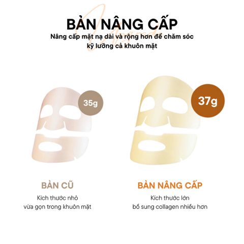 Mặt Nạ Thạch Vàng Dưỡng Da MediAnswer, Mặt Nạ Dưỡng Da Collagen Hàn Quốc Hộp 5 Miếng