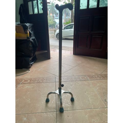 GẬY TẬP ĐI 3, 4 CHÂN INOX – VIỆT NAM