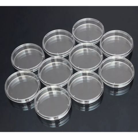 Đĩa Petri nhựa tiệt trùng 90x15 mm ( túi 10 cái)