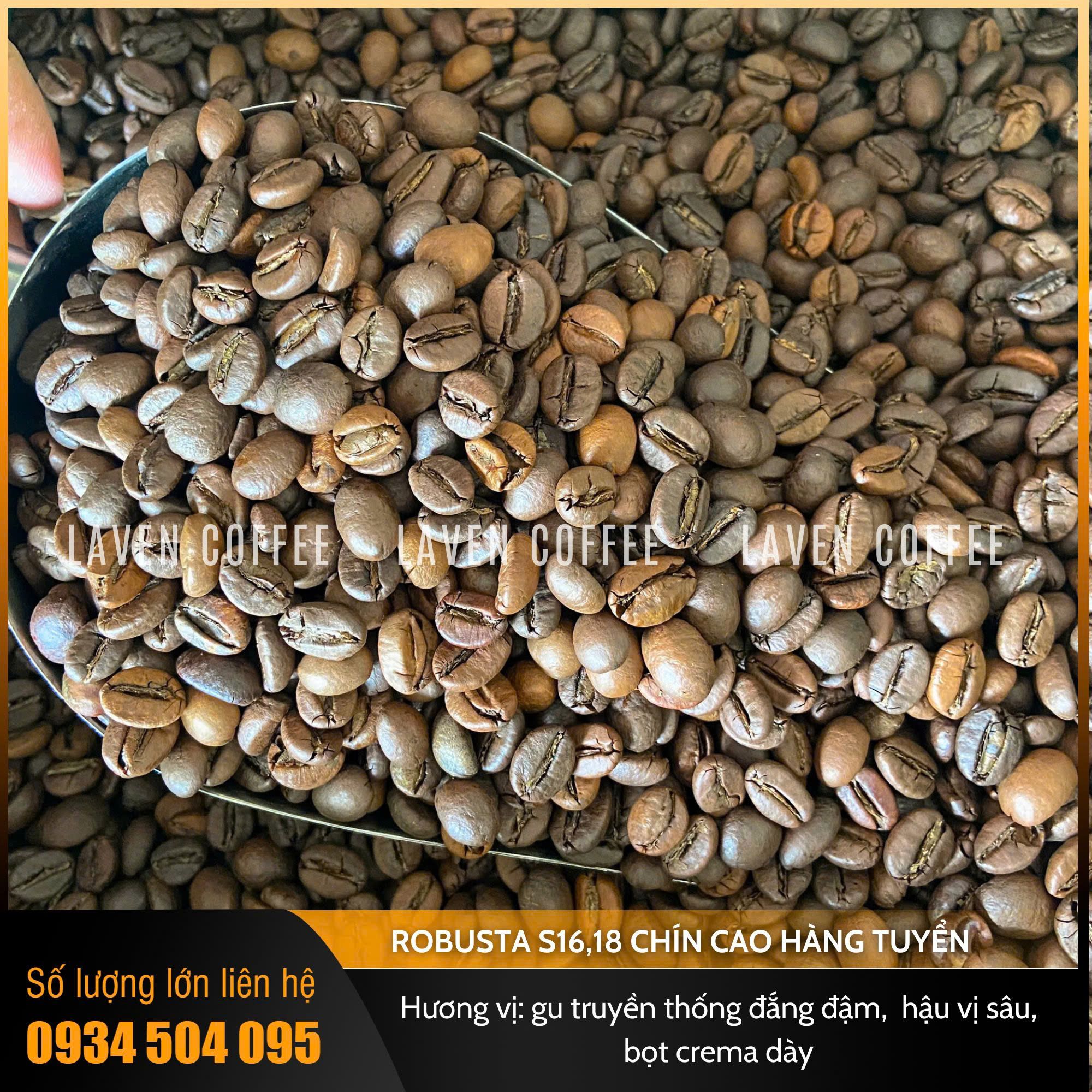  Robusta hàng tuyển | Ro-S18 | Dùng thử 500g 
