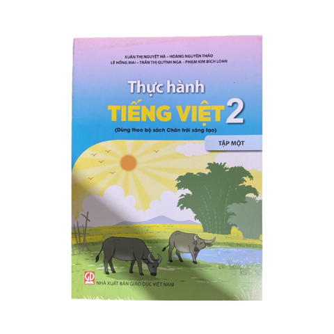  Thực Hành Tiếng Việt Lớp 2 Tập 1 CTST 
