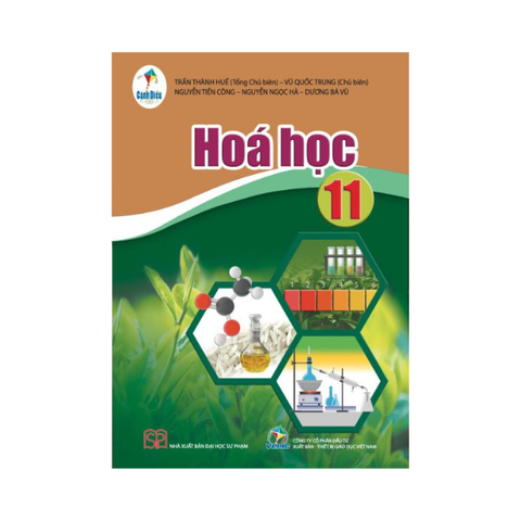  Hóa Học Lớp 11 CD 
