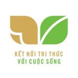 Chuyên đề học tập Ngữ Văn lớp 11 KNTT